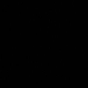 Meet your Posher, Joel